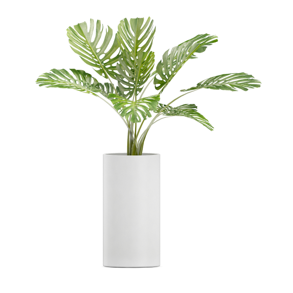 vaso de decoraçãos