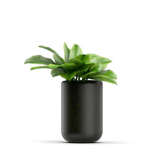 vaso de decoraçãos