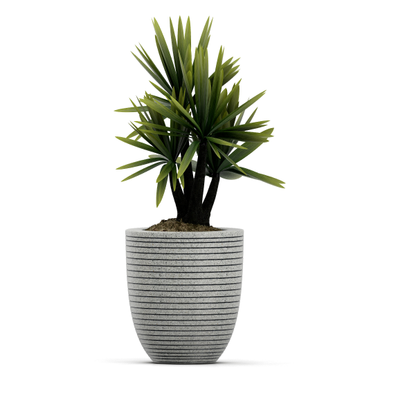 vaso de decoraçãos