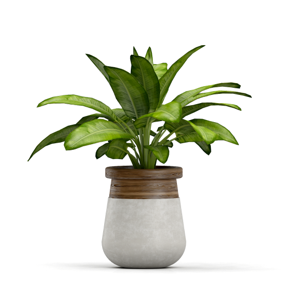 vaso de decoraçãos